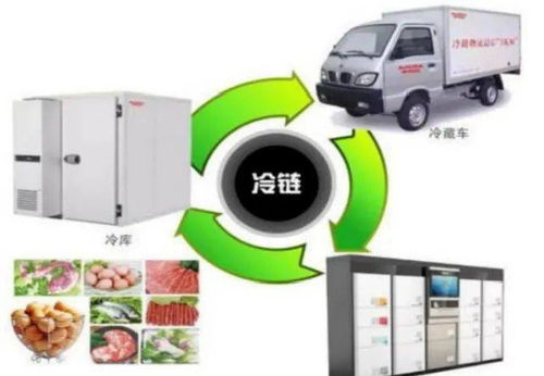 市消委消費提示 購買冷鏈食品九注意