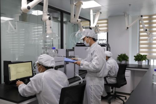 鴻湖膜業自主研發自動化裁切設備,賦予調光膜更多應用可能 行業 產品 電極